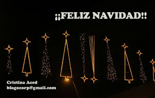 ¡¡Felices fiestas!!